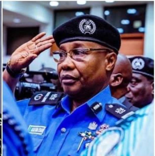 Read more about the article BREAKING     KADUNA WORKERS STRIKE: IGP ASSURES SAFETY ON KADUNA – ABUJA EXPRESSWAY