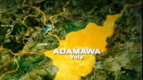 Man Beats Pregnant Wife To Death In Adamawa