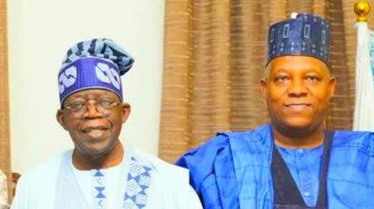 Read more about the article Tinubu picked Shettima for our common good