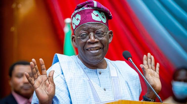 Read more about the article Federal High Court dismisses case challenging Tinubu’s candidacy