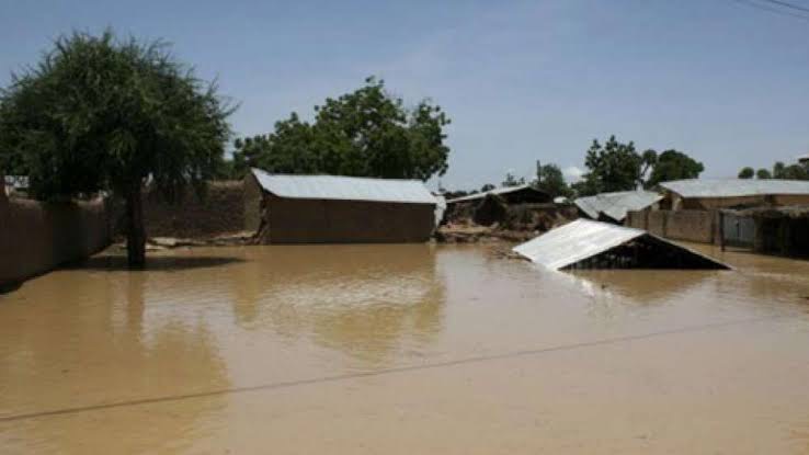 Read more about the article FG issues flood alert, says Kaduna, 13 other states may record heavy rainfall