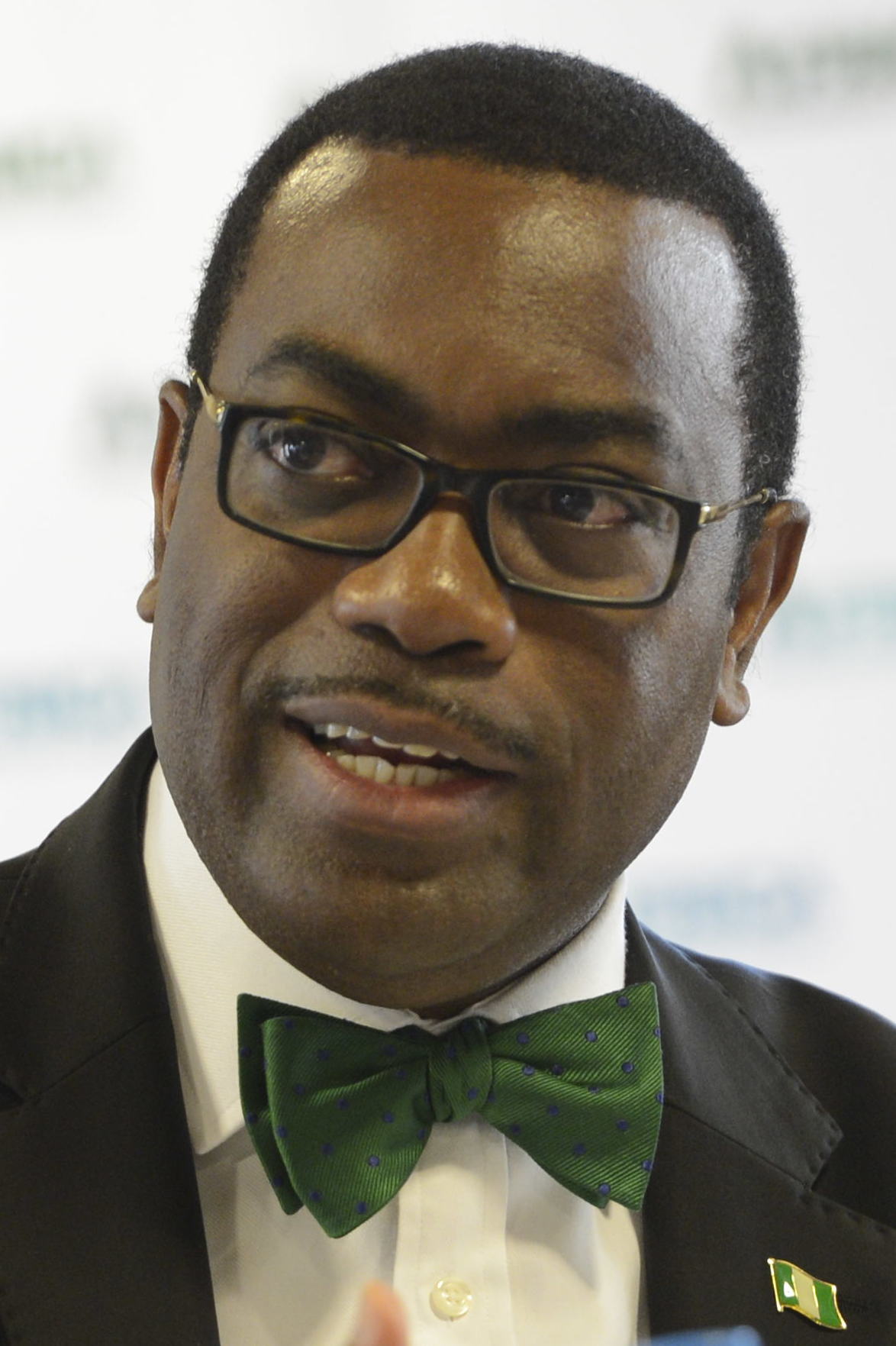 Read more about the article AKINWUMI ADESINA’S CLAIMS ON NIGERIA’S GDP PER CAPITA: THE FACTS TELL A DIFFERENT STORY