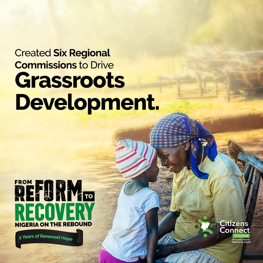 Read more about the article Nigeria Rebounds: Embracing Regional Governance for a Stronger Future by Babajide Fadoju