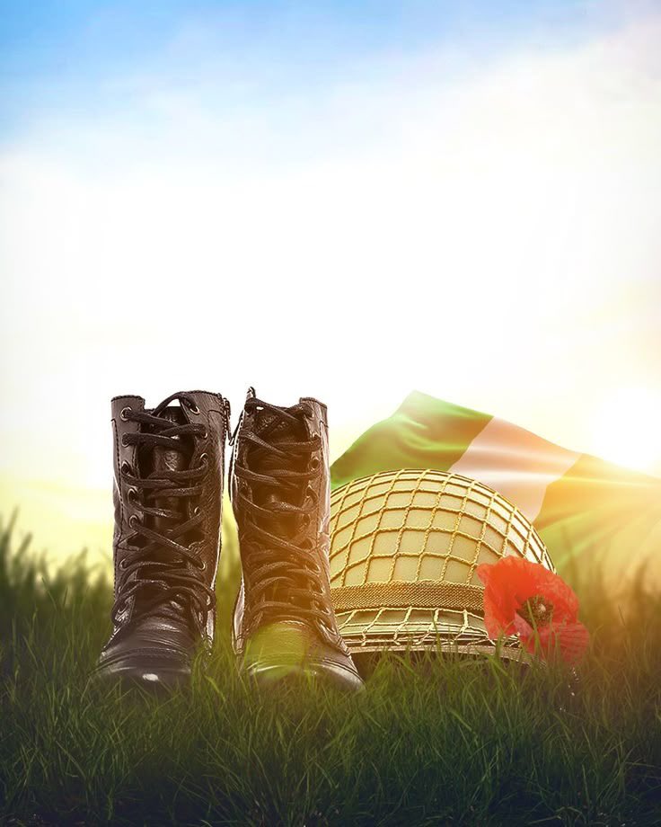 You are currently viewing Araba Femi Sanni Pays Tribute to Fallen Heroes on Armed Forces Remembrance Day